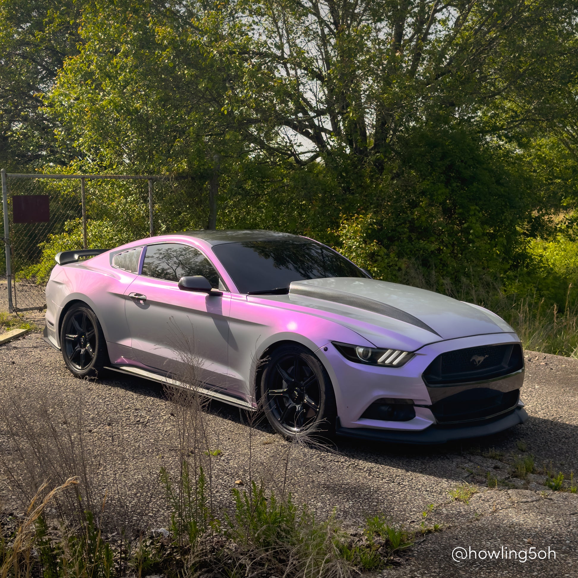 Purple Car Surface Prep